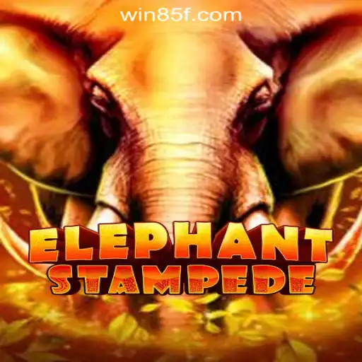 Discover the Thrills of ElephantStampede: A Premier Slot Game